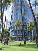 IIE Hawaii