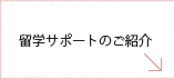 留学サポートのご紹介